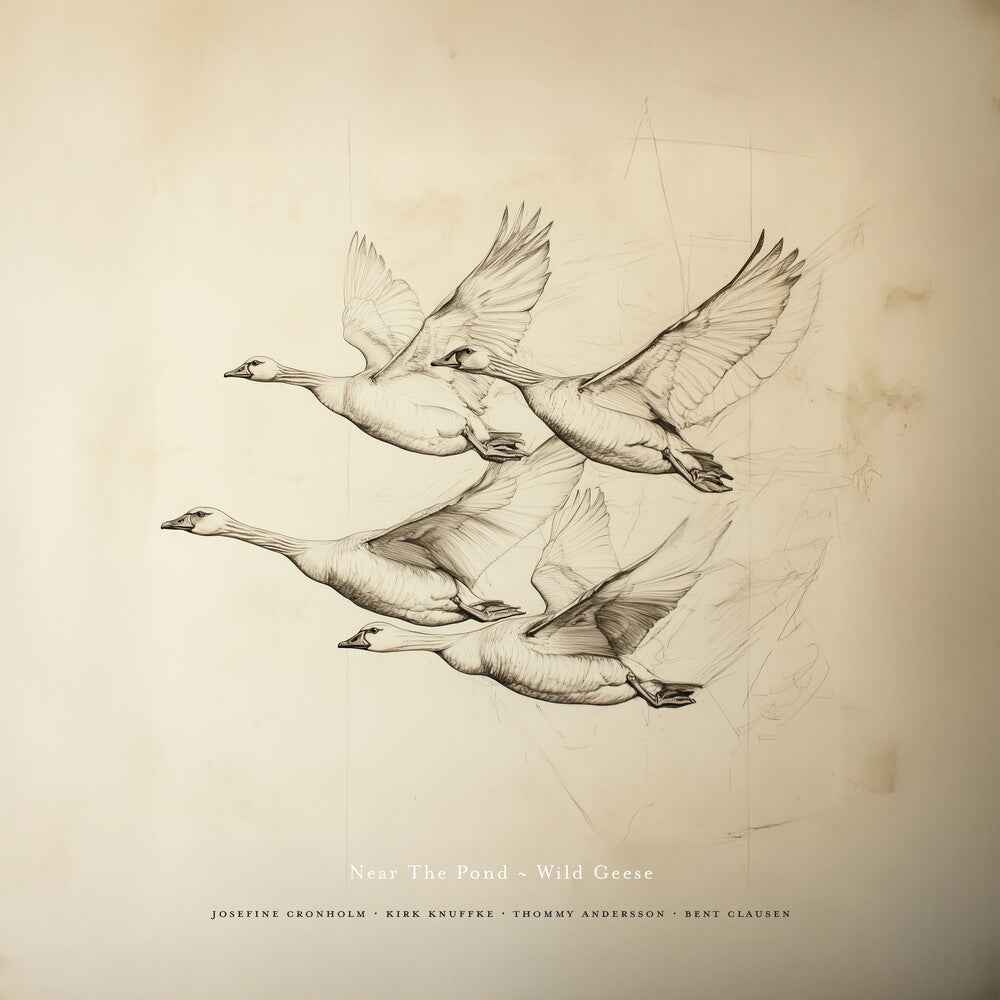 Wild Geese [LP]