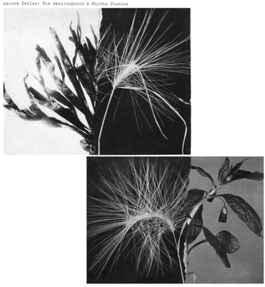 Pekler, Andrew - New Environments And Rhythm Studies [LP] Vinyl Record