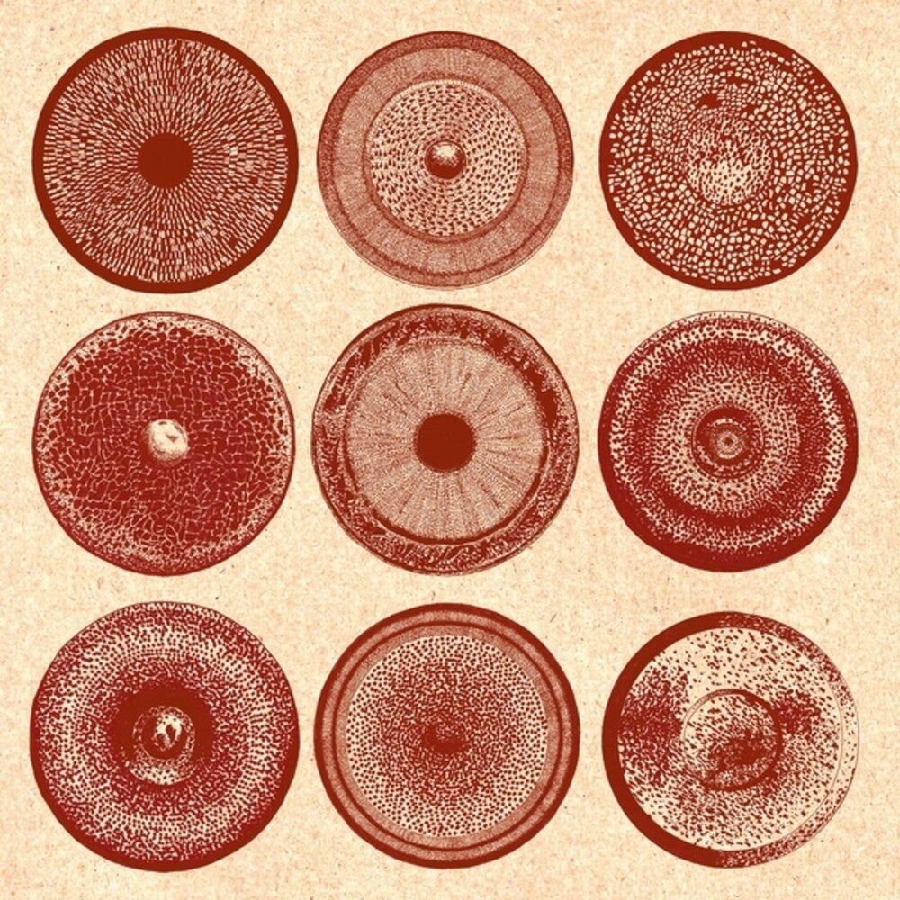 Ensemble Nist-Nah - Spilla [LP] Vinyl Record