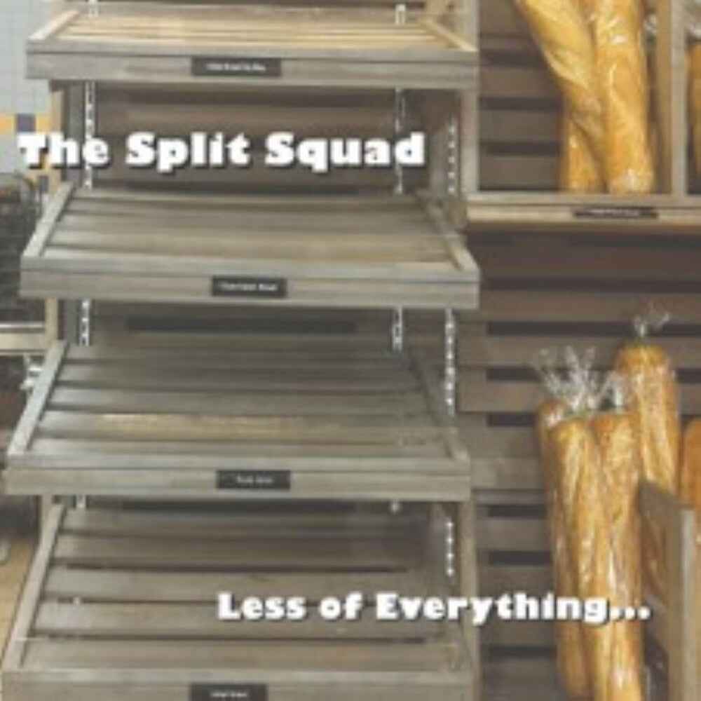 Less Of Everything [LP]