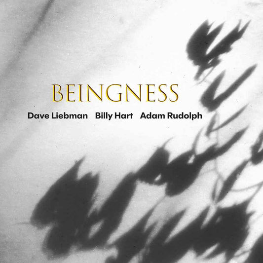 Beingness [CD]