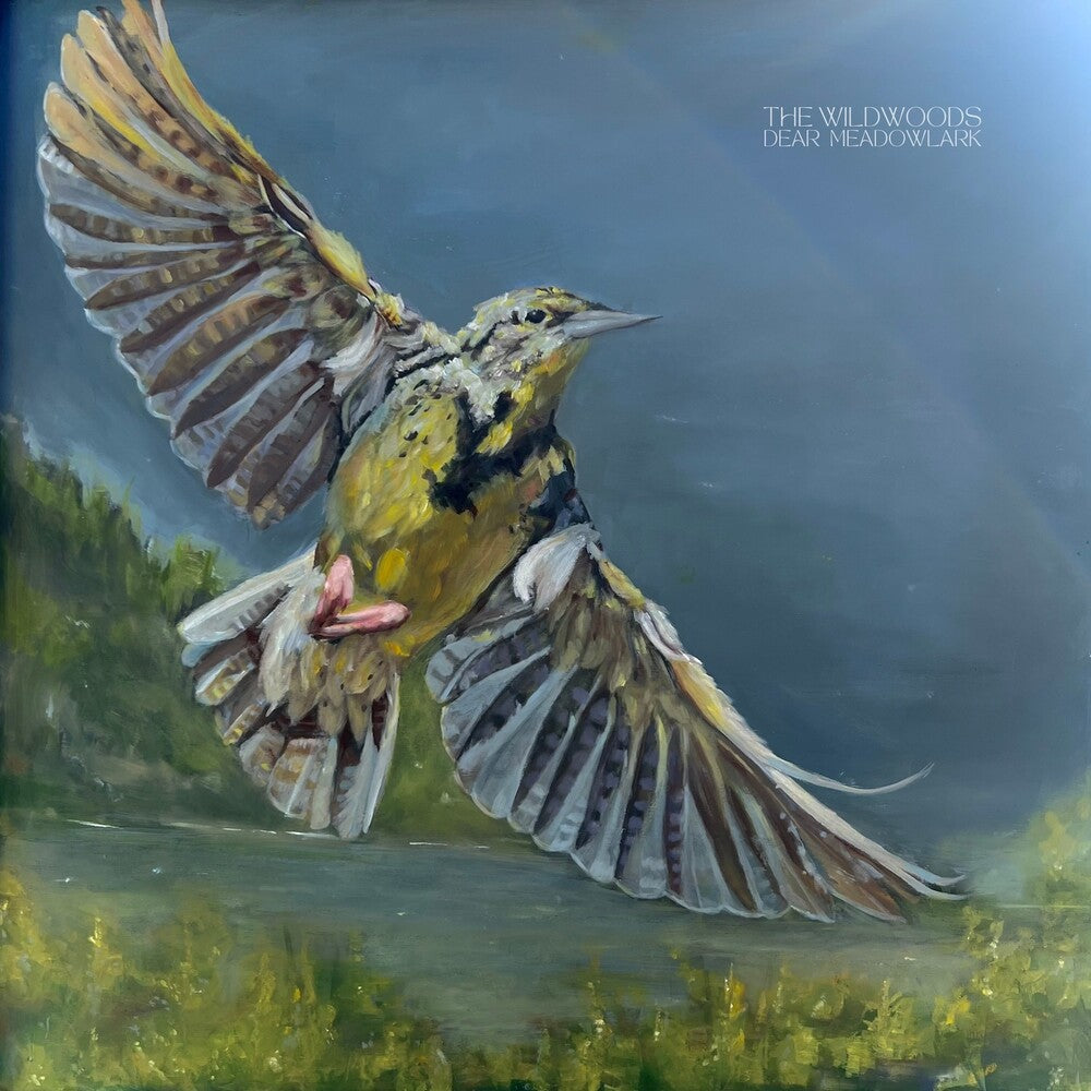 Wildwoods - Dear Meadowlark [LP] Vinyl Record