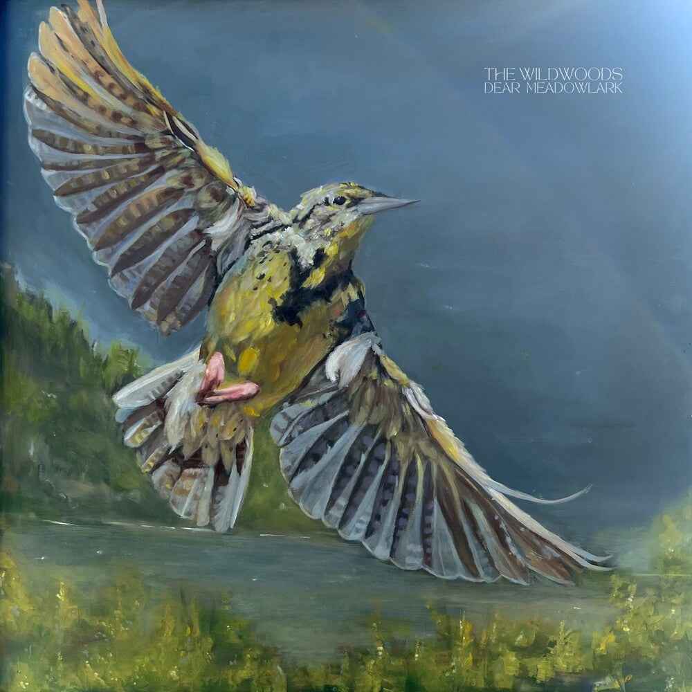 Dear Meadowlark [CD]