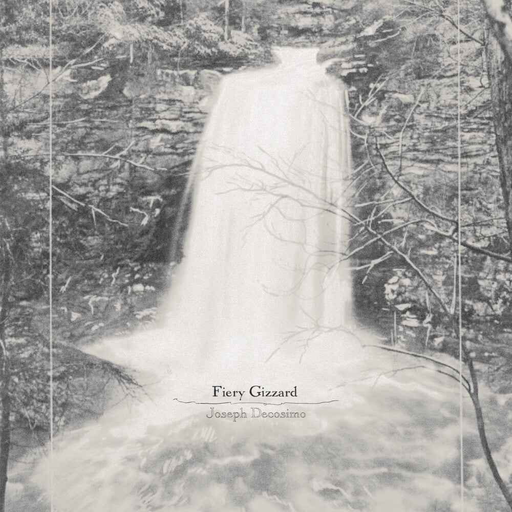 Fiery Gizzard [LP]