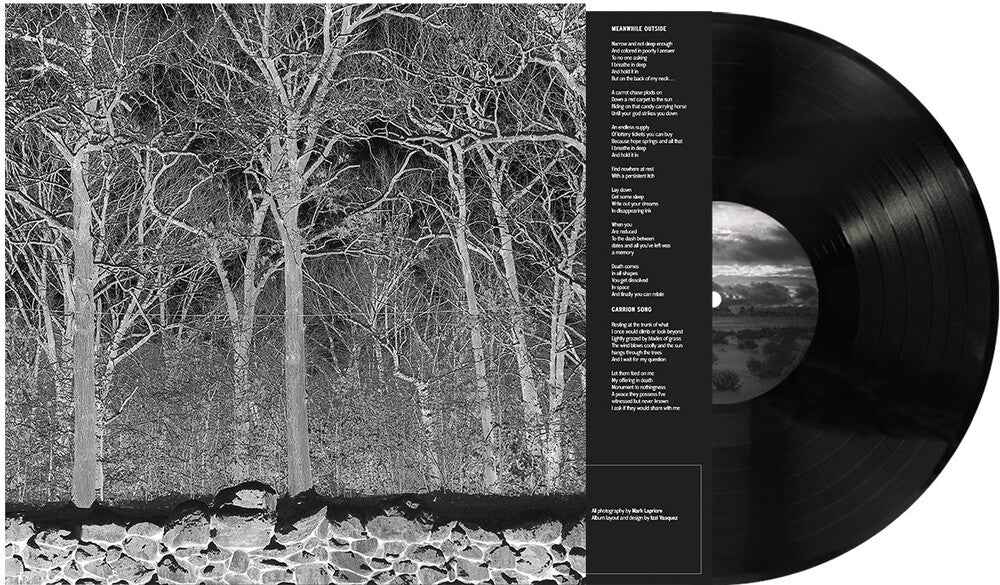 Sunshine & Balance Beams [LP]