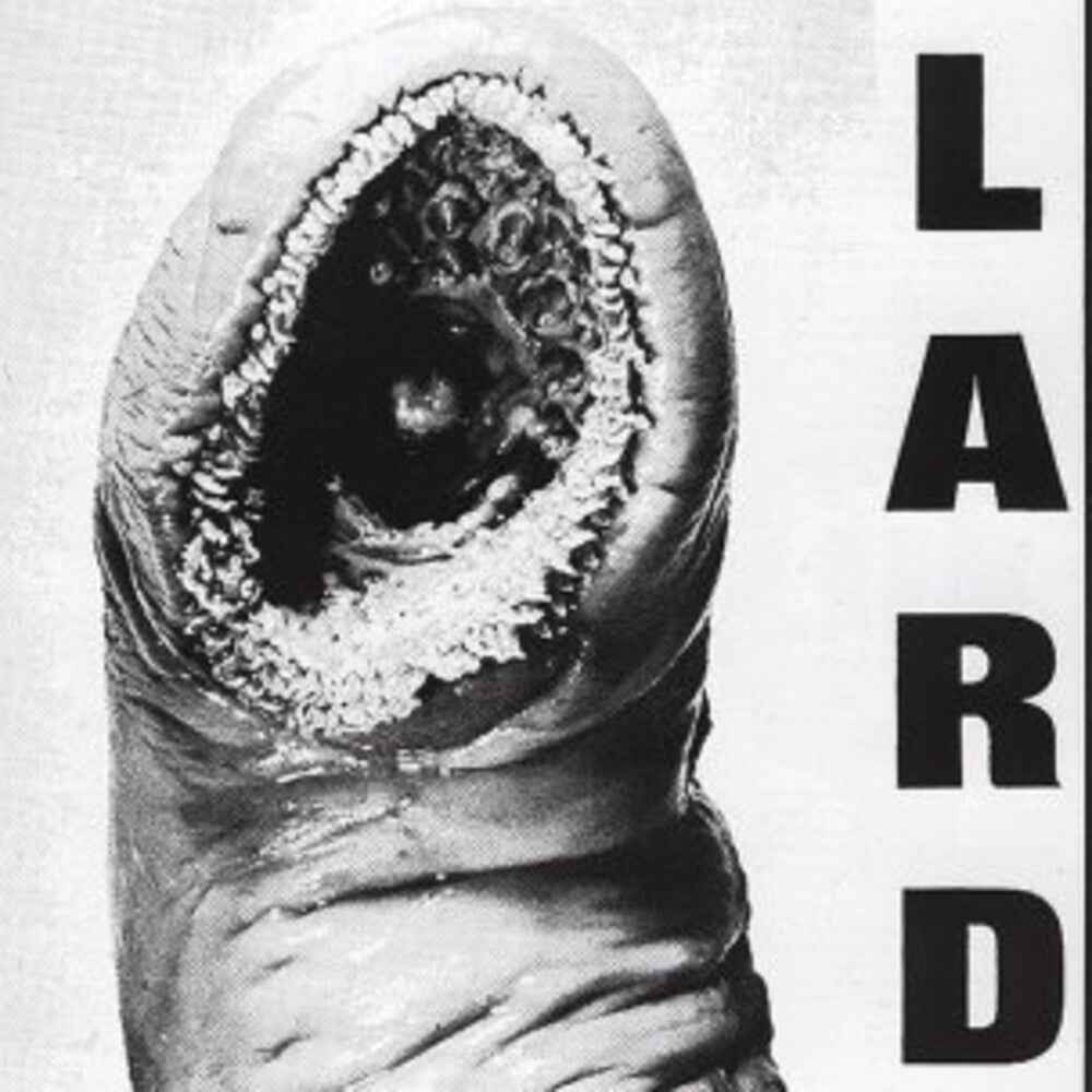 Power Of Lard - White [LP]