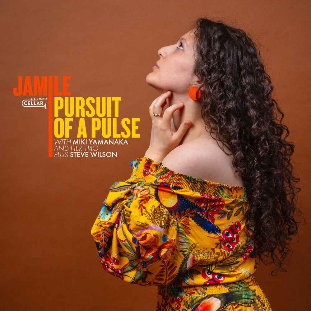 Pursuit Of A Pulse [LP]