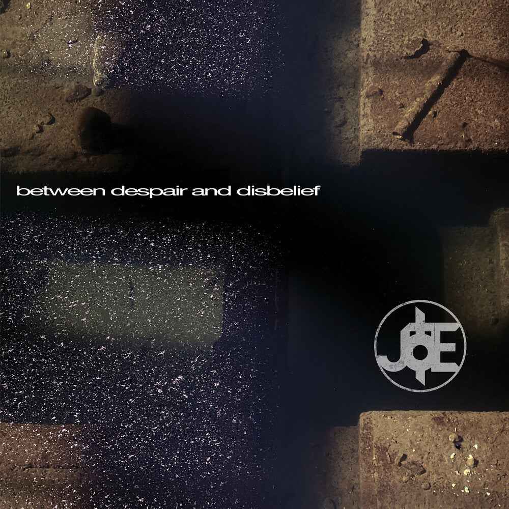 Between Despair And Disbelief [LP]