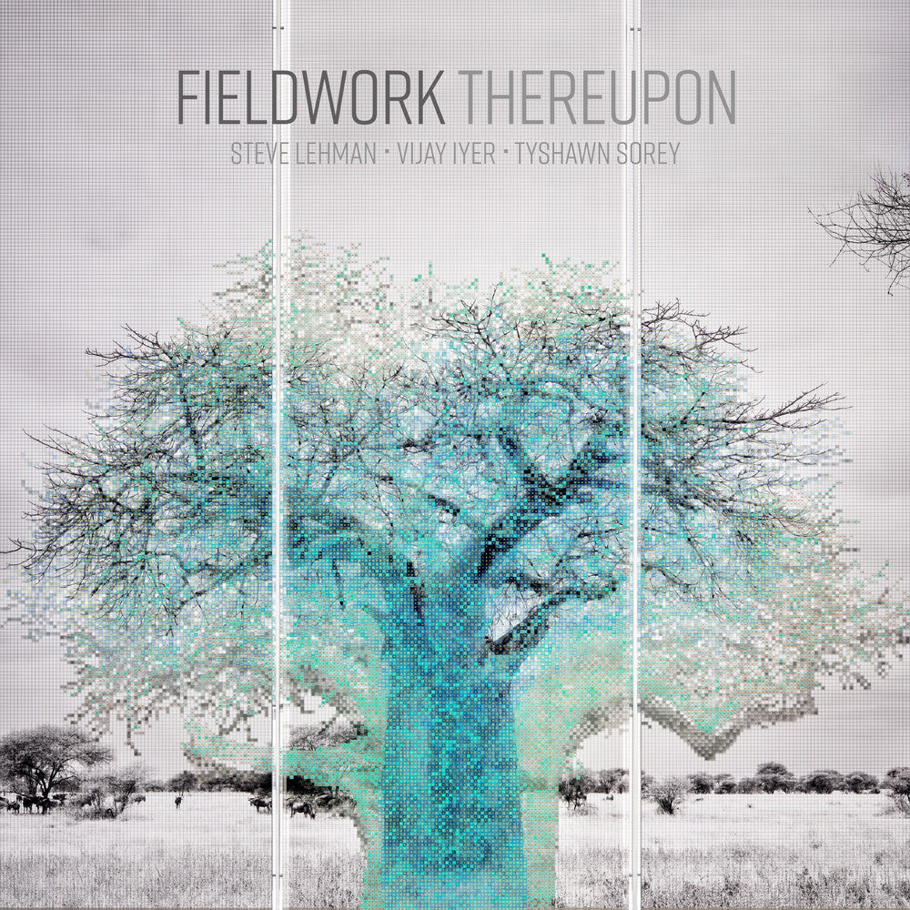 Fieldwork - Unclassified Affections [CD]