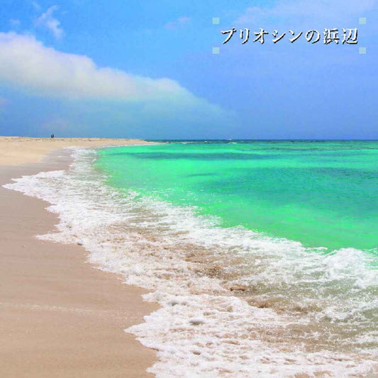 Beach Of The Pliocene [LP]