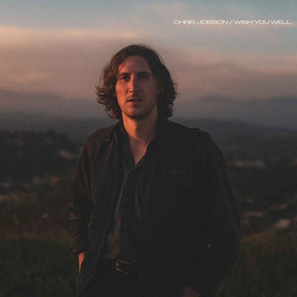Wish You Well [LP]
