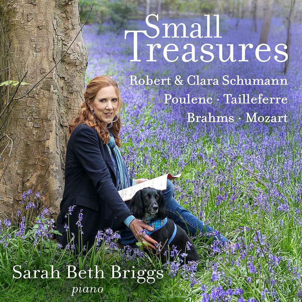 Small Treasures [CD]