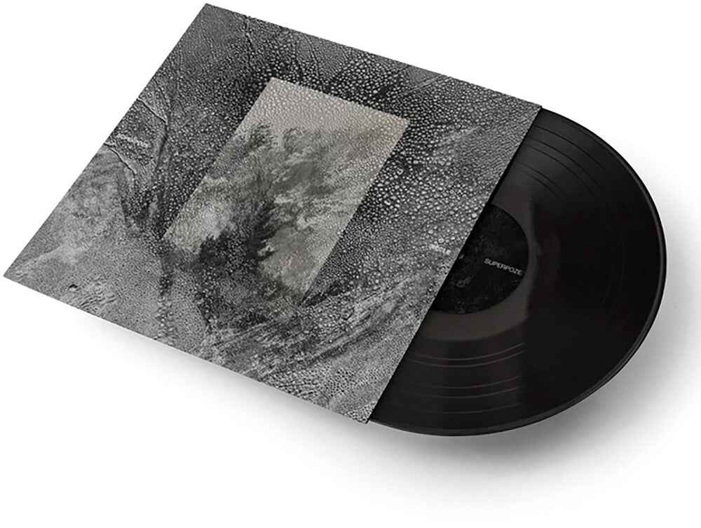 Siecle [LP]