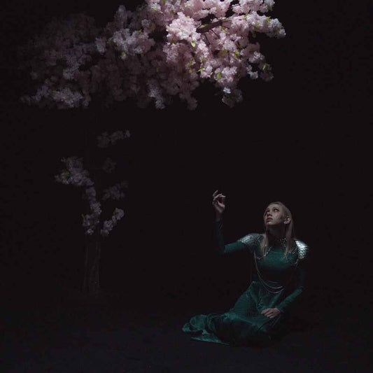 As The Light Left [With Booklet] (Phot) [Digipak]