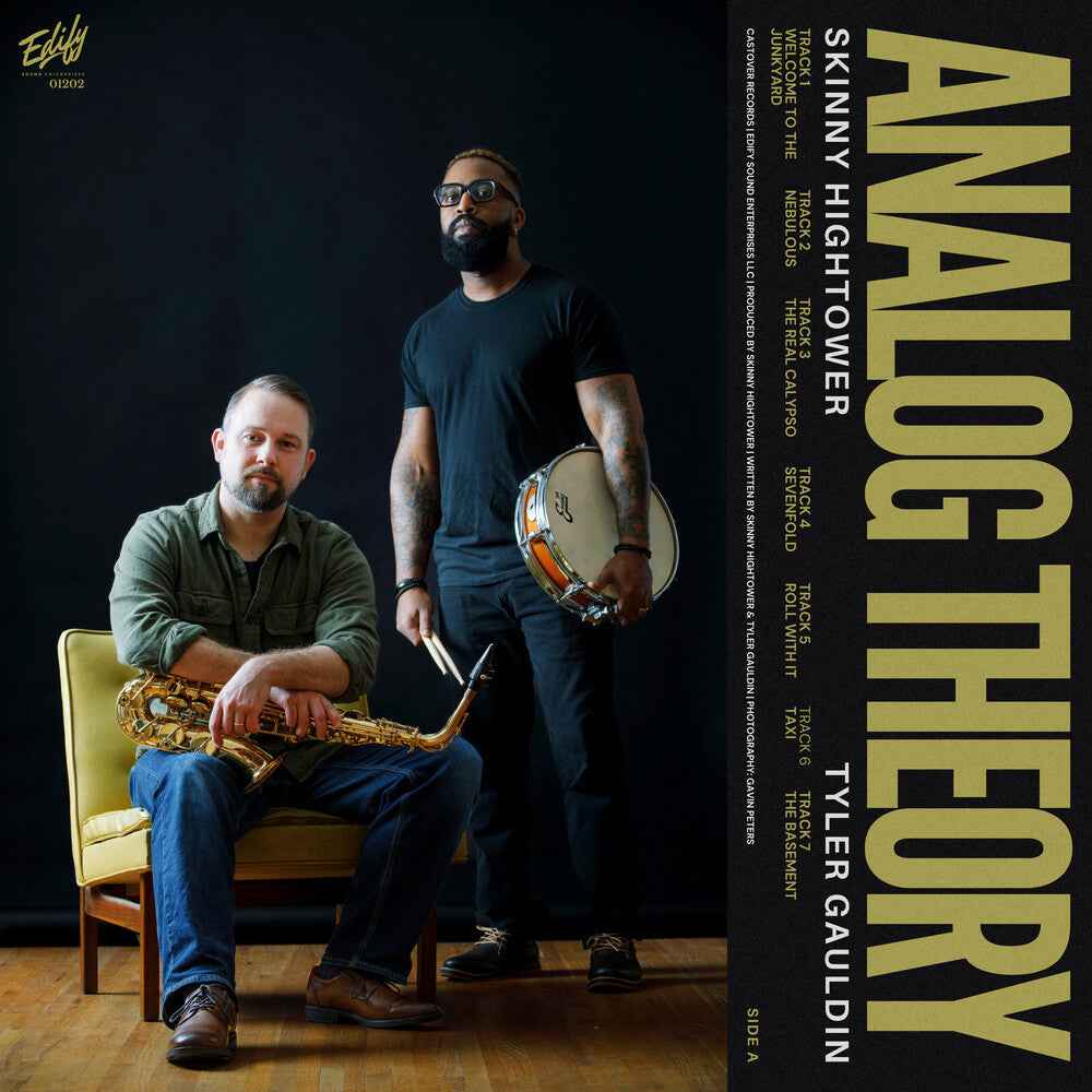 Analog Theory [LP]