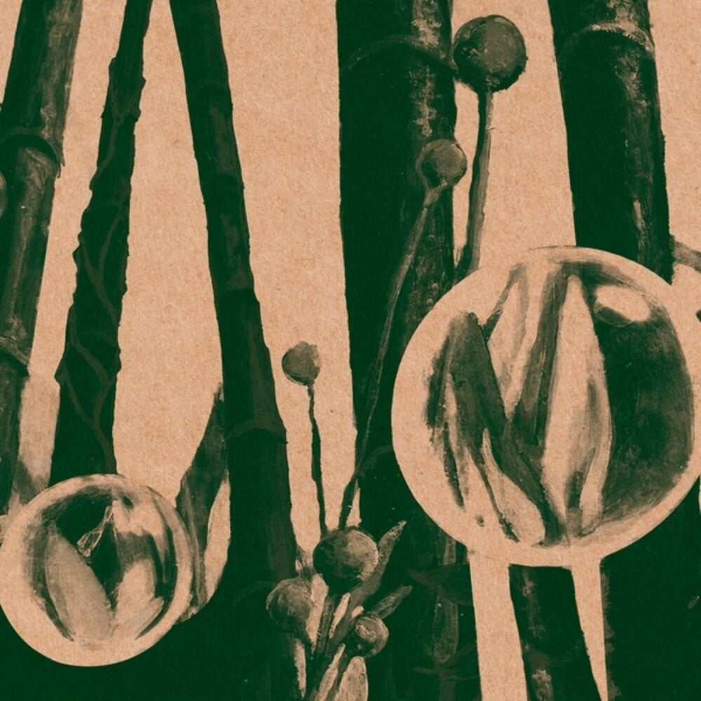 Kettel - Through Friendly Waters (20th Anniversary Edition) [LP] Vinyl Record