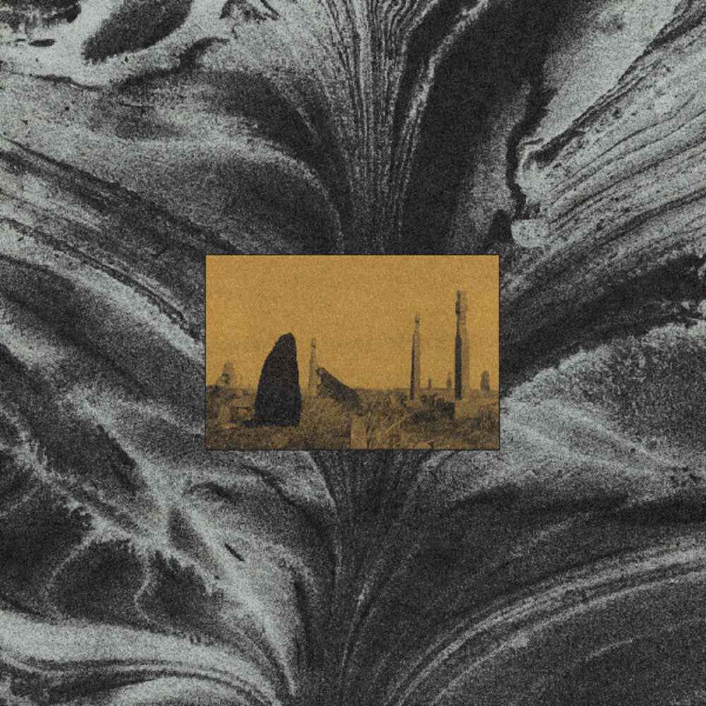 Run (Dicu) [LP]
