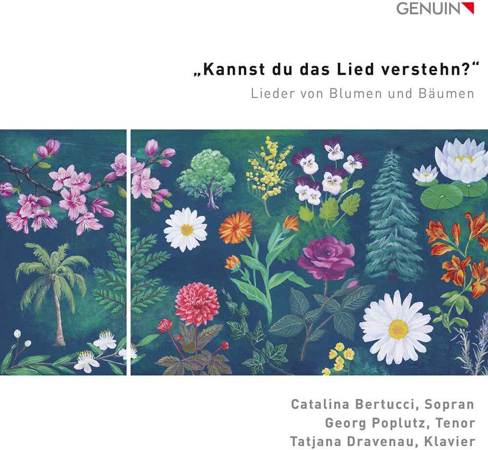 Kannst Du Das Lied Verstehn? [CD]