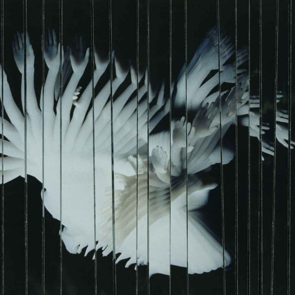 Endlessly [LP]