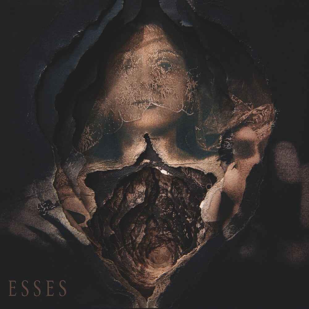Pain At The Altar Of Jest [LP]