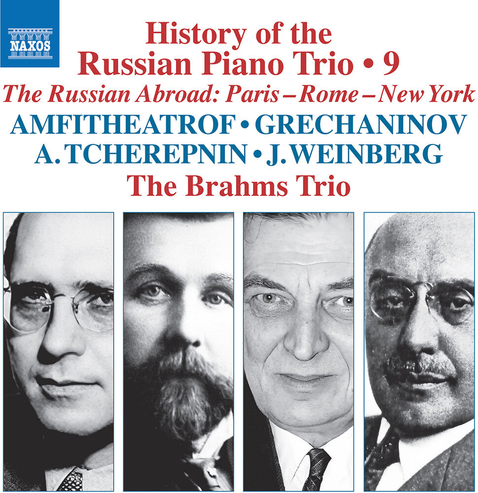 Brahms Trio - History Of The Russian Pno Trio Vol. 9 [CD]