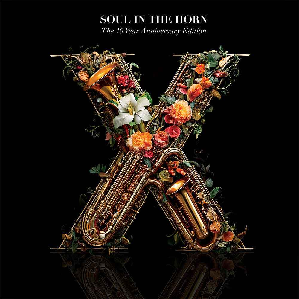 The 10 Year Anniversary Deluxe Edition [LP]