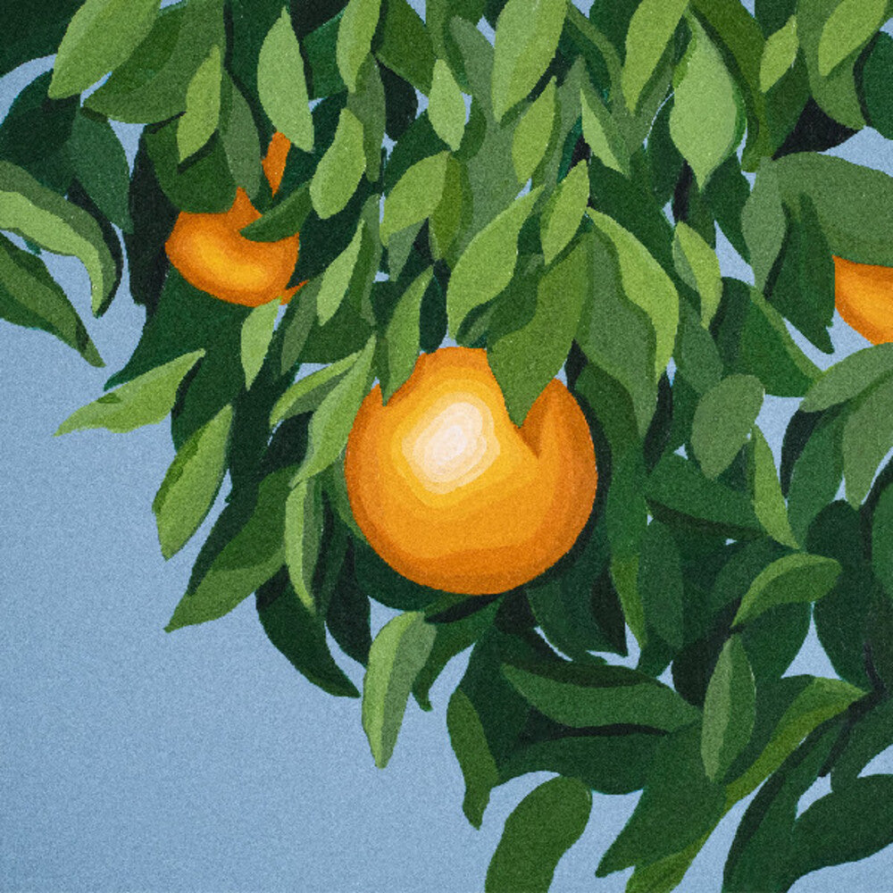 Tyler Ballgame - For The First Time Again [LP] Vinyl Record