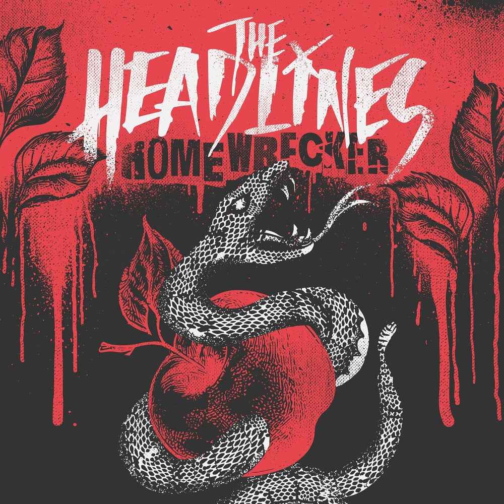 Homewrecker [180 Gram Black/White Marble Swirl]