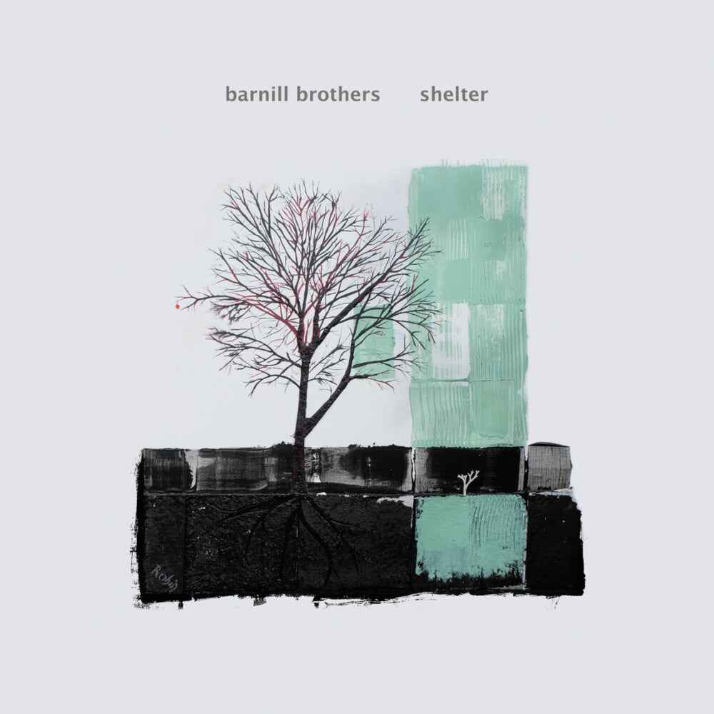 Shelter [LP]