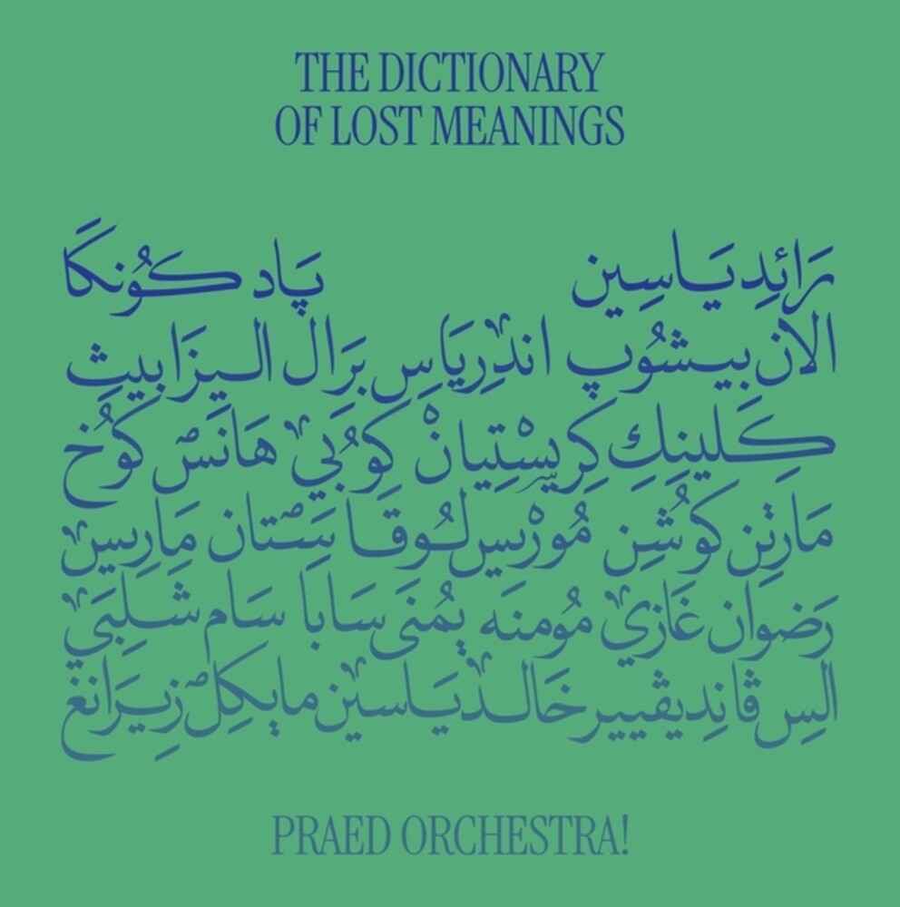 Dictionary Of Lost Meanings [LP]