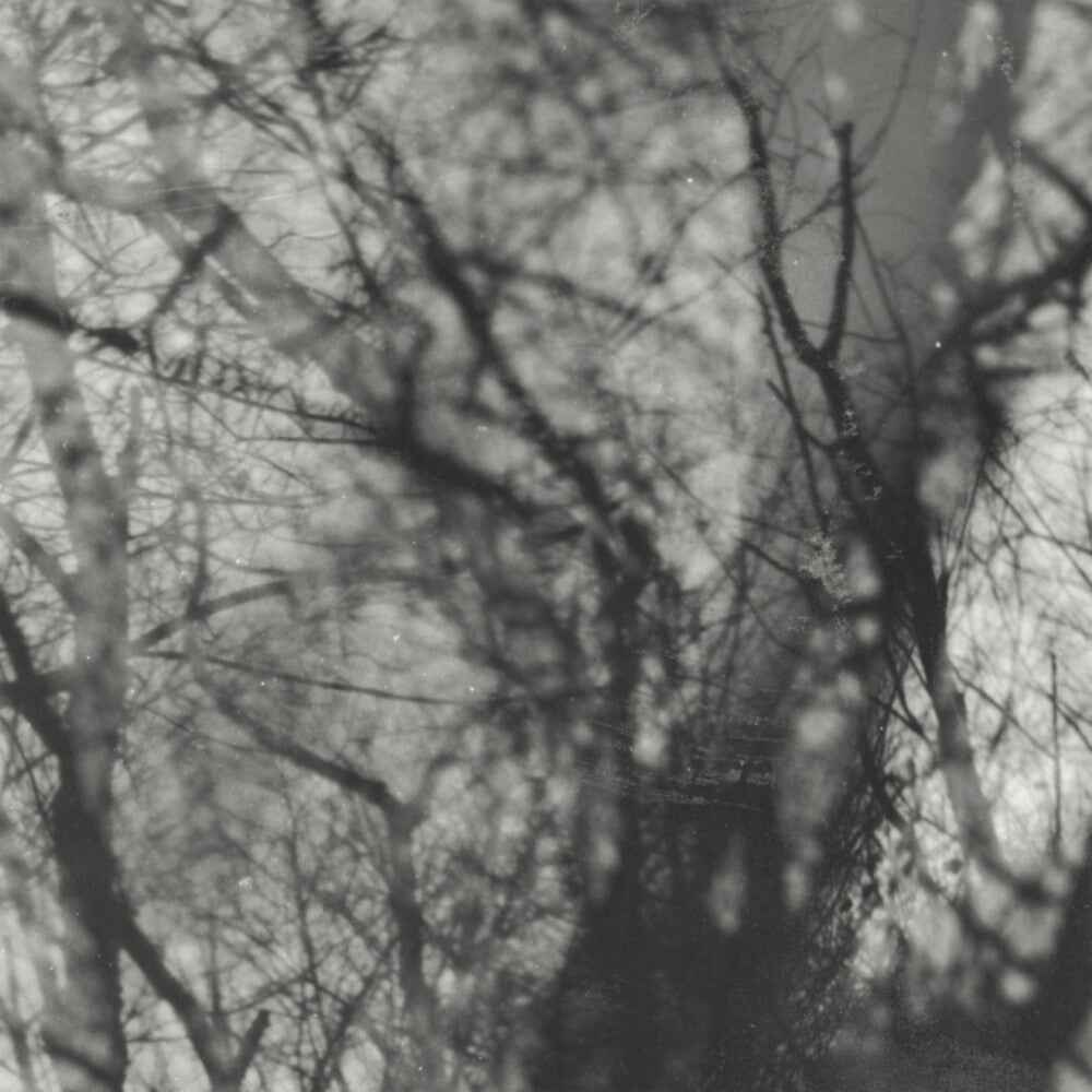 Way Their Crept [Reissue]