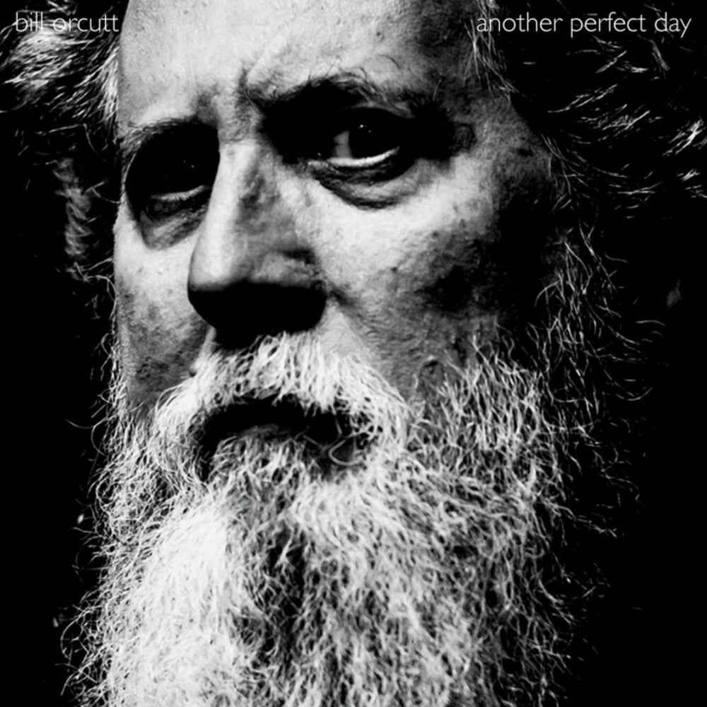 Another Perfect Day [LP]
