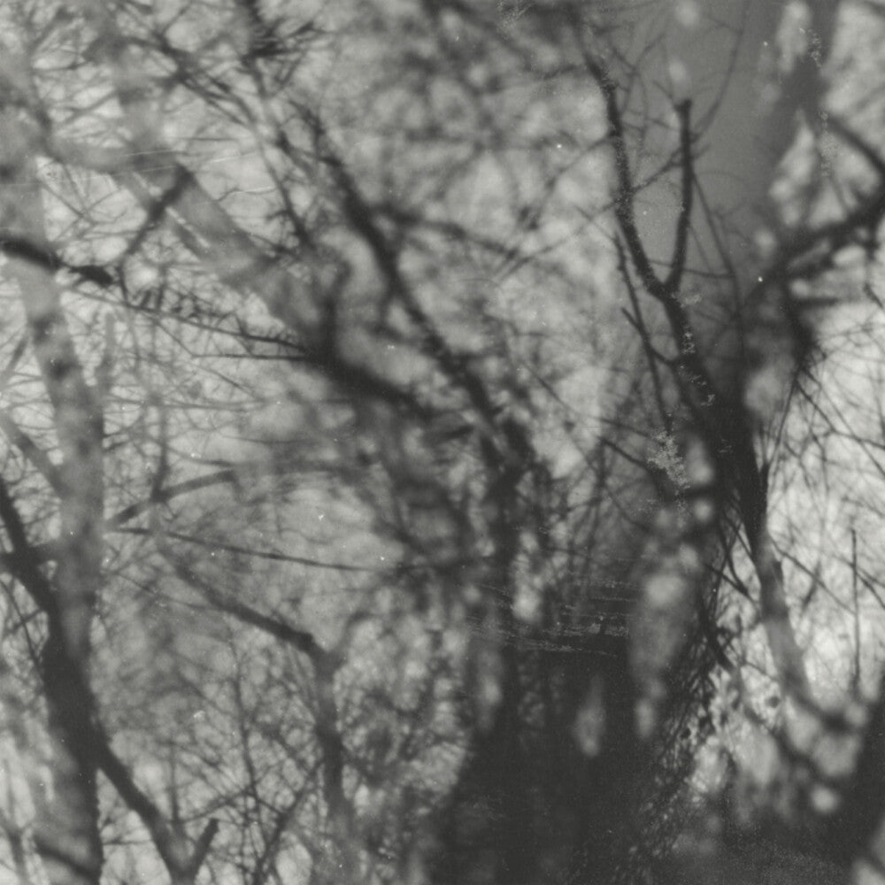 Grouper - Way Their Crept [Reissue] Vinyl Record