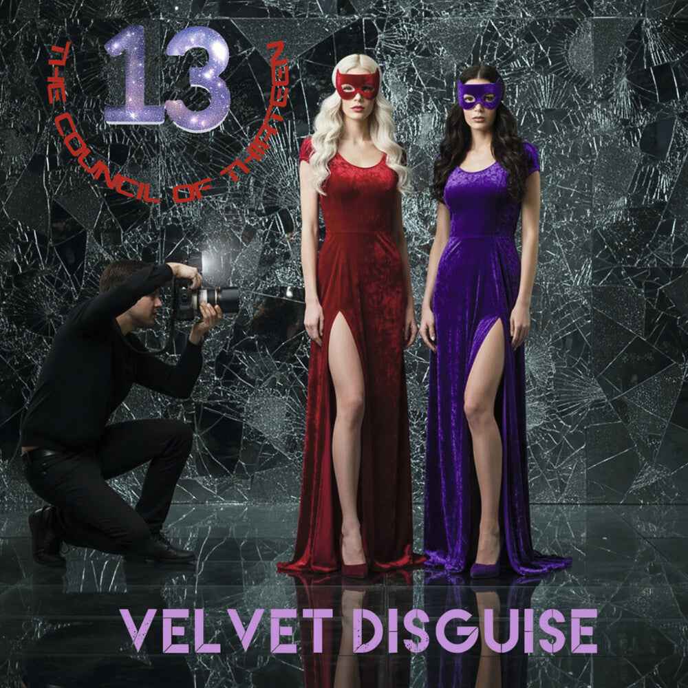 Velvet Disguise [With Booklet]