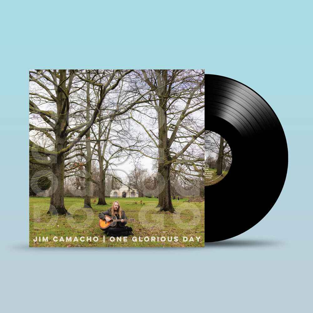 One Glorious Day [LP]