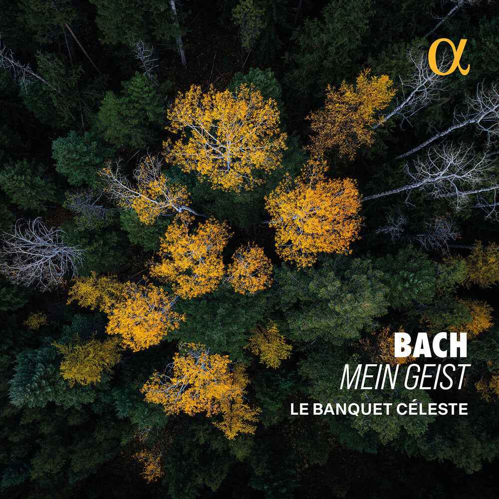 Bach: Mein Geist [CD]