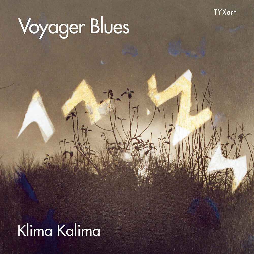 Voyager Blues [CD]