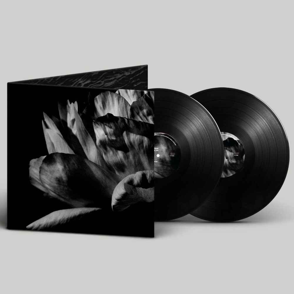 La Ou Passe La Nuit [LP]