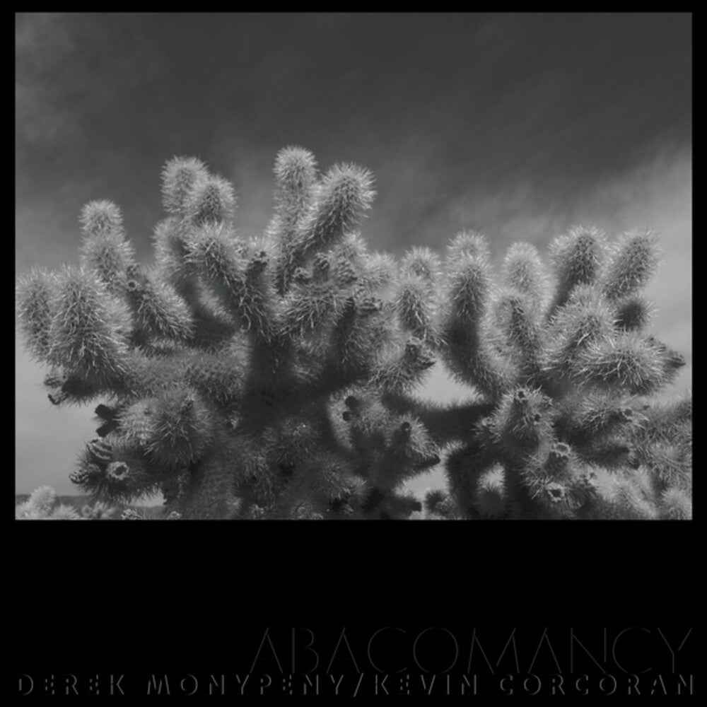 Abacomancy [LP]