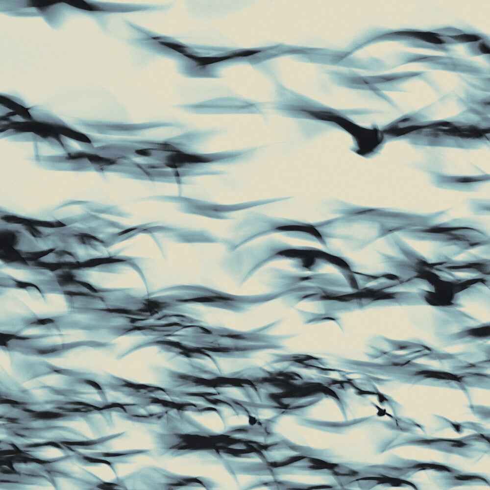 Call [LP]