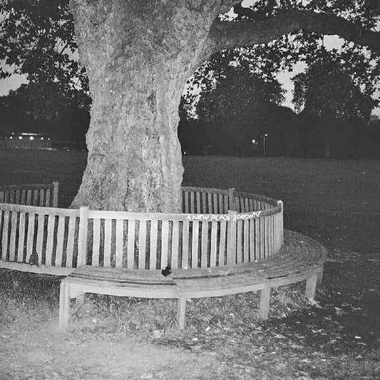 A New Place 2 Drown (Instrumentals) [LP]