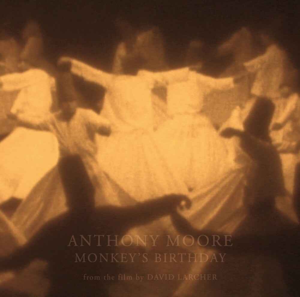 Monkey's Birthday [LP]