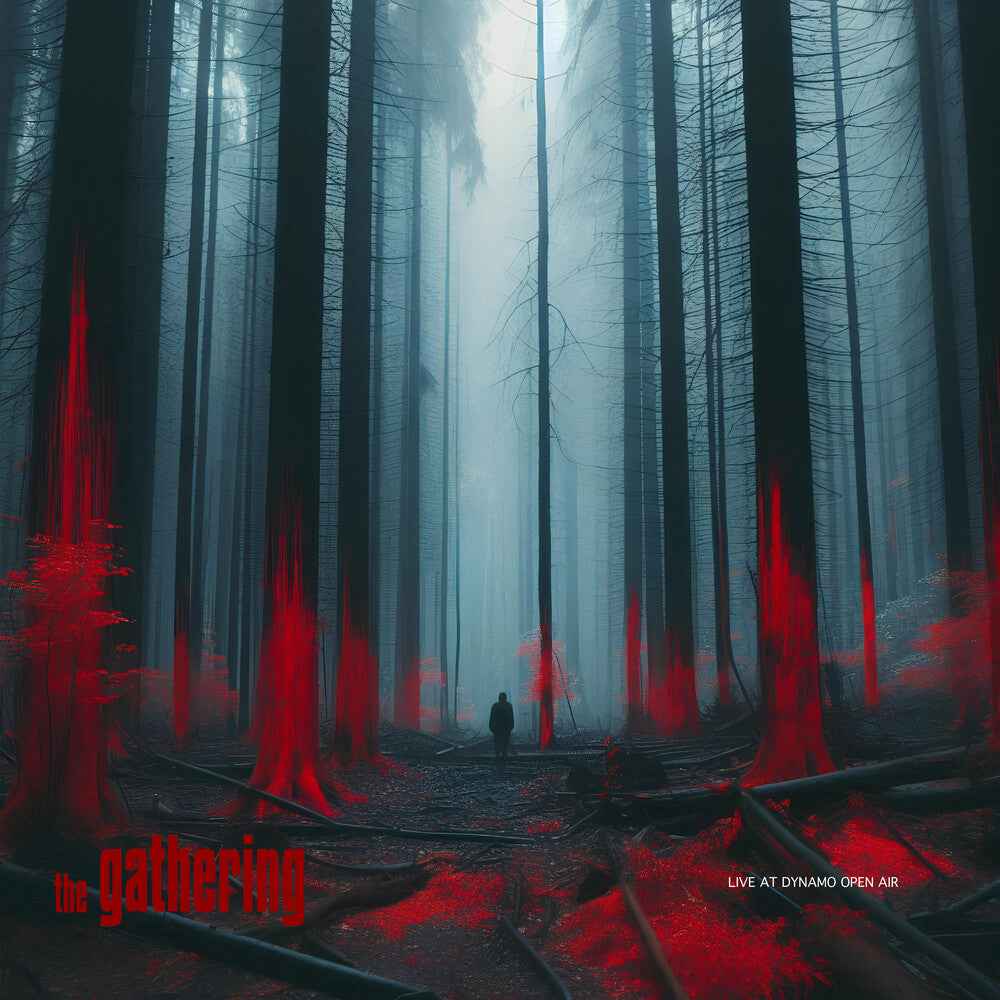 Live At Dynamo Open Air (Uk) [LP]