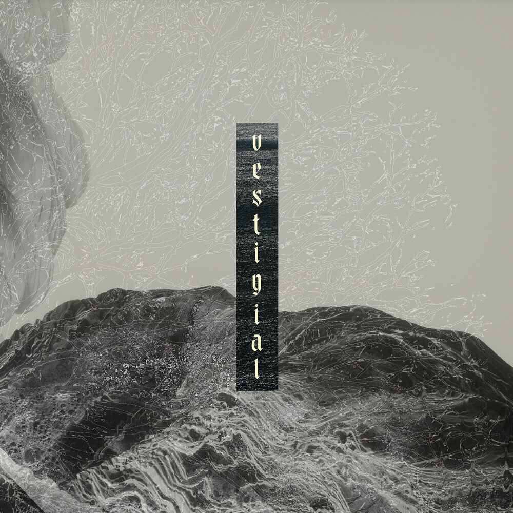 Descending Vastness [CD]