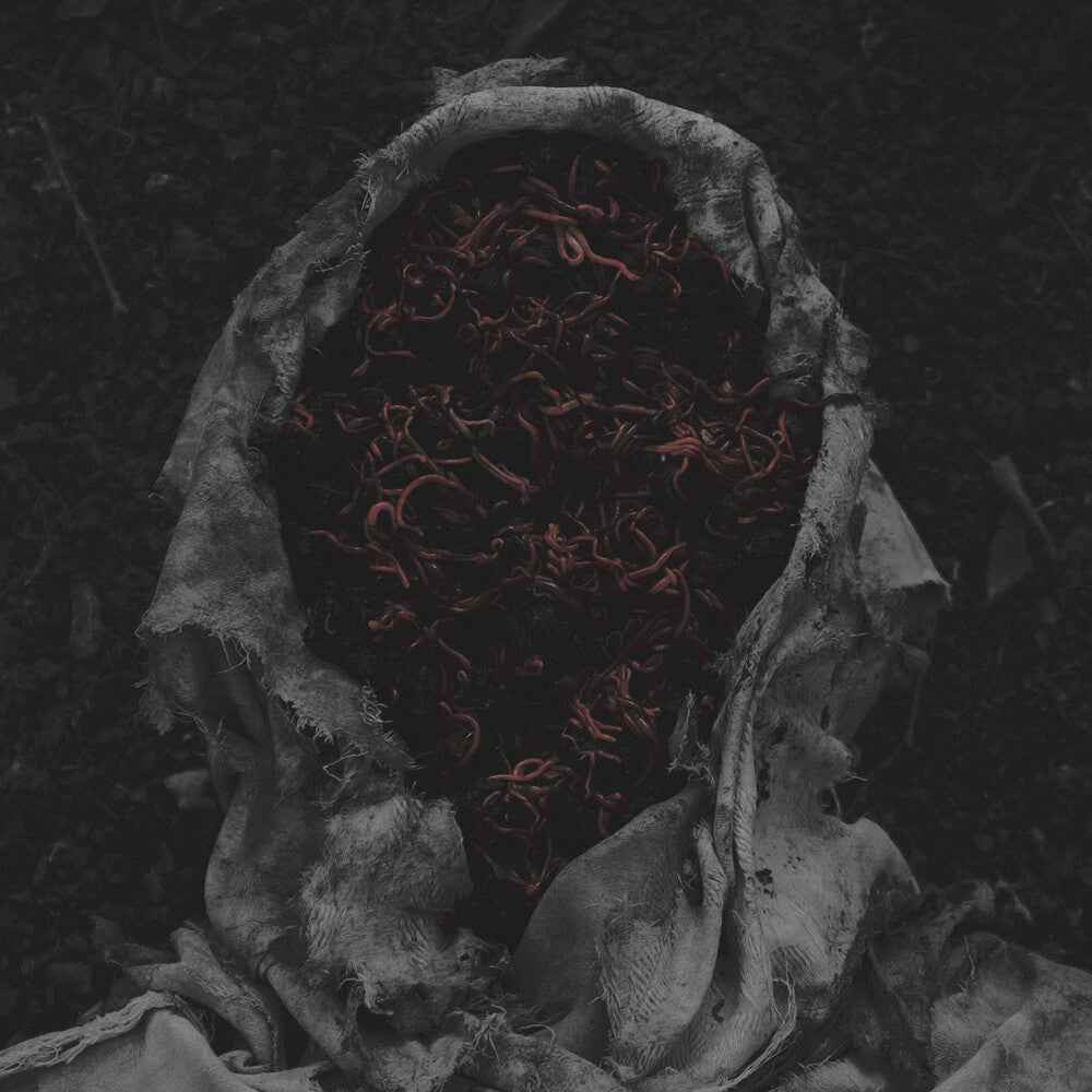 Stillamentum [LP]