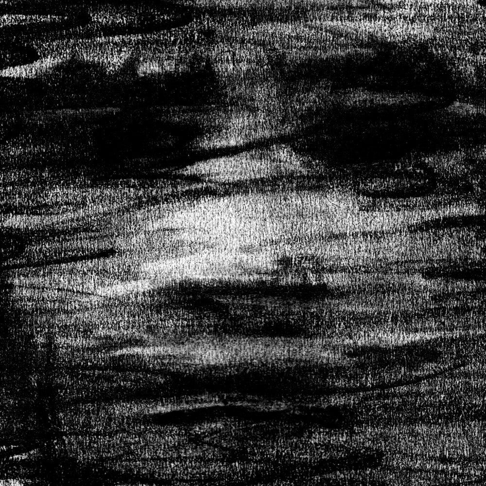 Born Erased - Birds Drink My Blood [CD]