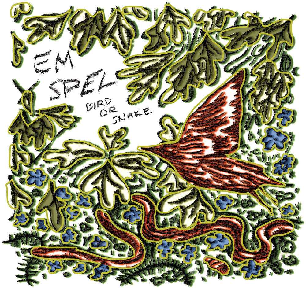 Bird Or Snake [LP]