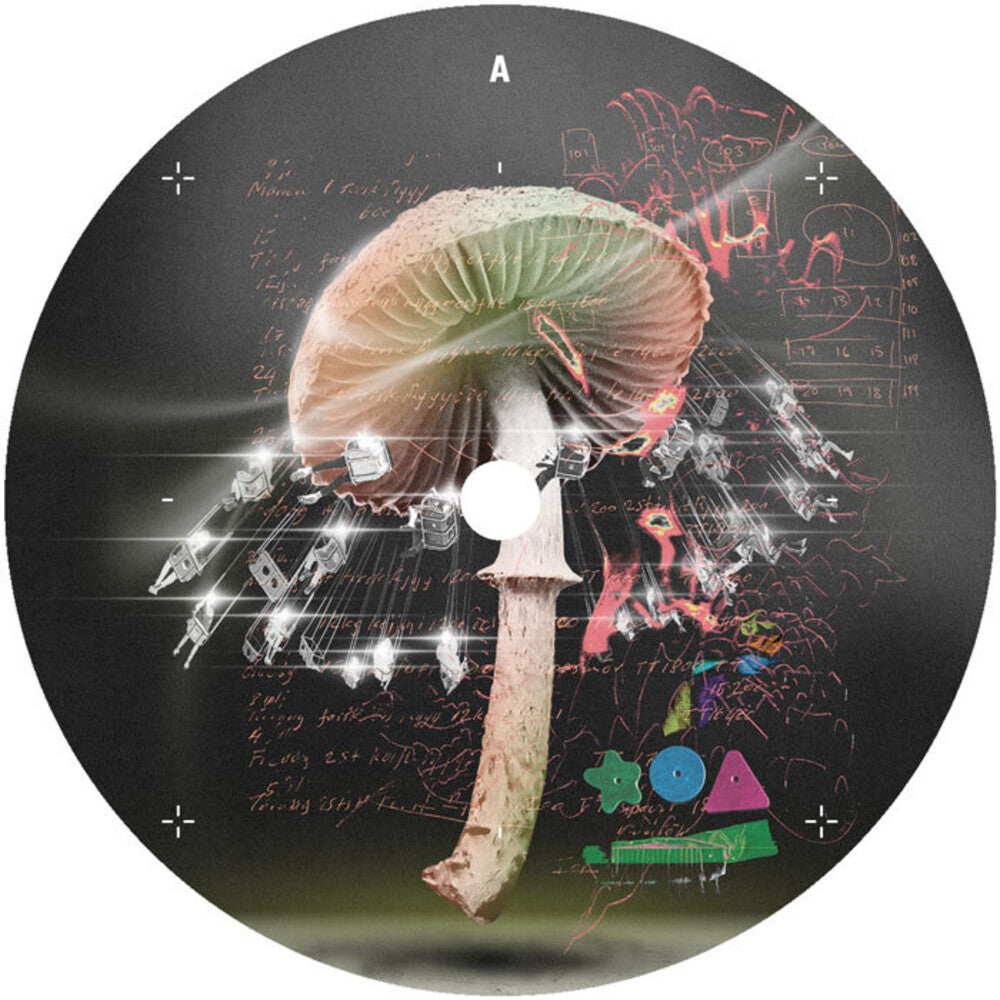 Move 2 The Groove [12" Vinyl]