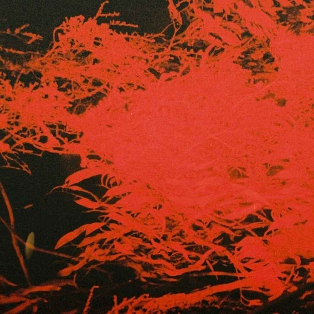 In Studio Magic [LP]