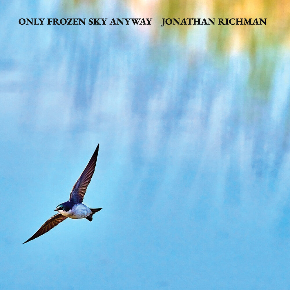 Only Frozen Sky Anyway [LP]